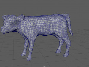 calf Modèle 3D