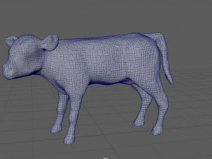 calf 3D Model