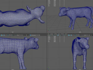 calf 3D Model