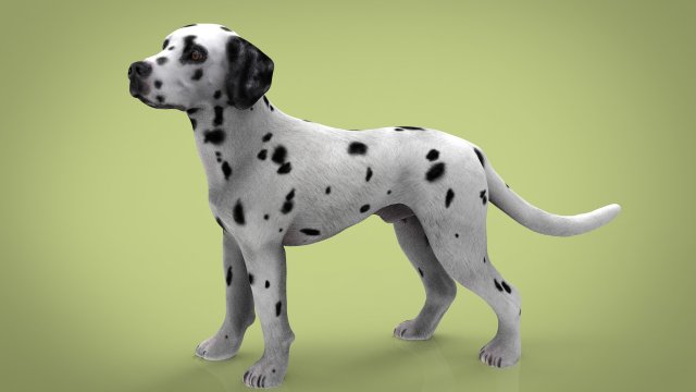 dalmantian 3D Model .c4d .max .obj .3ds .fbx .stl .blend 