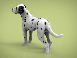 dalmata Modello 3D