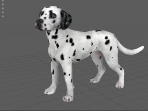 dalmantian 3D Model