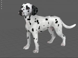 dalmata Modello 3D