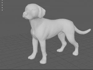 dalmata Modello 3D