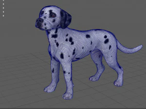 dalmata Modello 3D