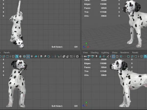 dalmata Modello 3D