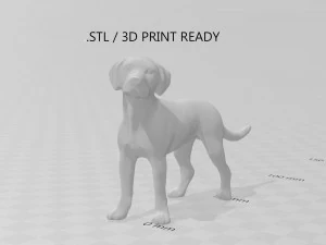 dalmata Modello 3D