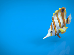 coral fish 3D 모델