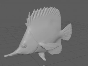 coral fish 3D Model