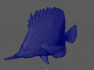 coral fish 3D Model