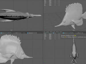 coral fish 3D 모델
