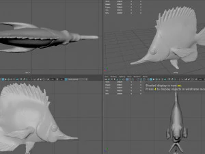 coral fish 3D Model