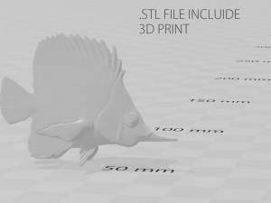 coral fish 3D 모델