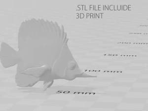 coral fish 3D Model