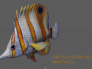 coral fish 3D 모델