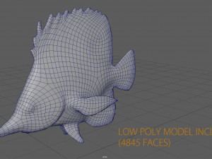 coral fish 3D 모델