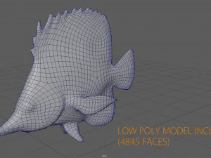 coral fish 3D Model