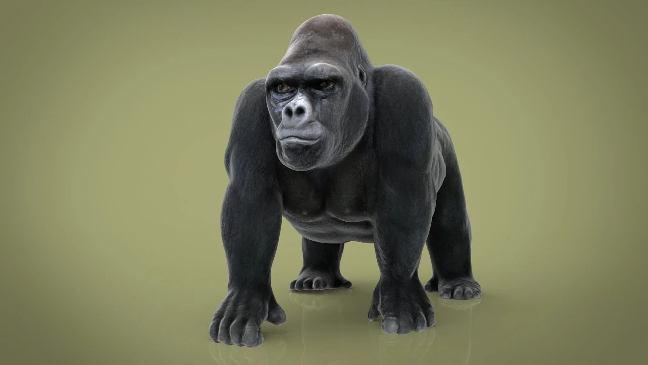 gorila Modelo 3D .c4d .max .obj .3ds .fbx .stl .blend 