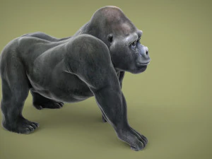 gorila Modelo 3D