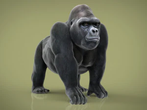 gorila Modelo 3D