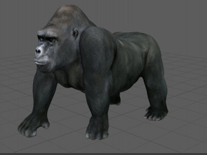 gorilla 3D 模型