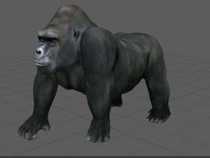 gorila Modelo 3D