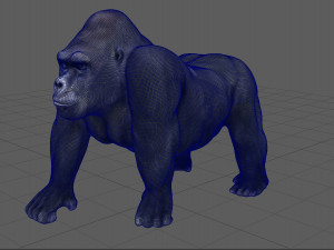 gorilla 3D 模型