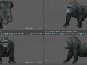 gorilla 3D 模型
