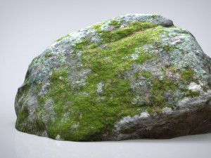 rock 3D Model