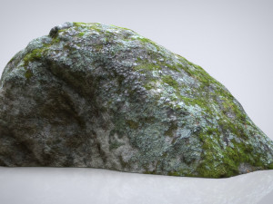 rock Modello 3D