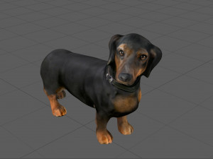 dachshund 3D Model