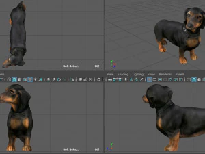dachshund 3D Model