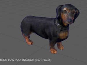 dachshund 3D Model