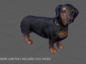 dachshund 3D Model