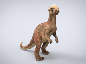 pachisephalosaurus 3D मॉडल