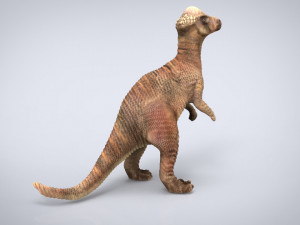 pachisephalosaurus Modello 3D