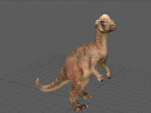 pachisephalosaurus Modello 3D