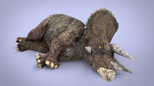 triceratos 3D Model .c4d .max .obj .3ds .fbx .stl .blend 