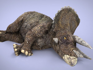 triceratos 3D मॉडल