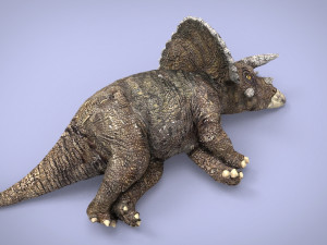 triceratos 3D Model