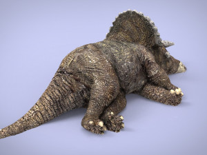 triceratos 3D Model