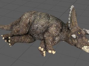 triceratos 3D Model