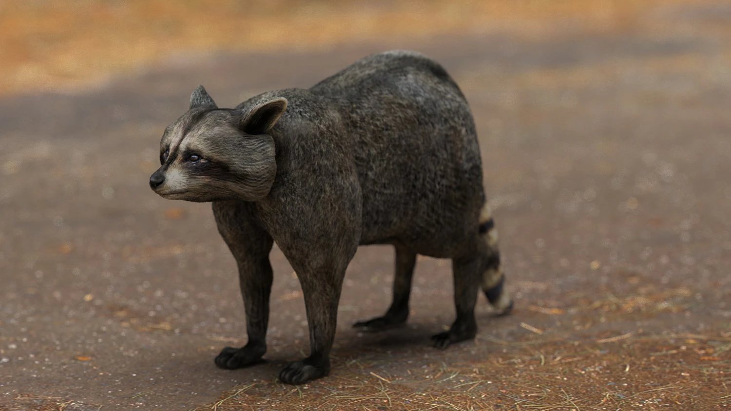 raccoon 3D Model .c4d .max .obj .3ds .fbx .stl .blend 