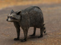 RACCOON 3D Model