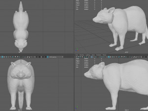 raccoon 3D Model
