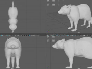 raccoon 3D Model