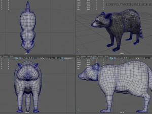 raccoon 3D Model