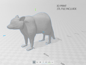 raccoon 3D Model