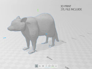 raccoon 3D Model