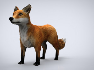 fox Modelo 3D